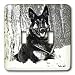 Dogs German Shepherd - German Shepherd - Light Switch Covers - double toggle switch