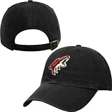 Twins '47 Phoenix Coyotes Cleanup Adjustable Hat