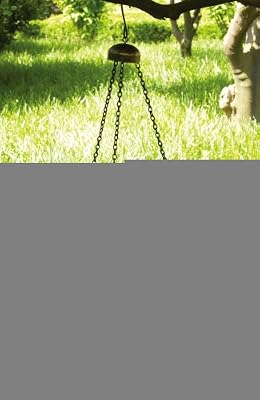 Delicate Bouquet Hanging Birdbath