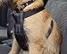 Dog Car Seat & Walking Harness - Small