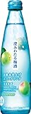 サントリー 澄みわたる梅酒 スパークリング 300ｍｌ