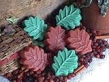 Leaf Soy Wax Tart in Cucumber Melon 41lt 9QeeFL. SL160 Leaf Soy Wax Tart in Cucumber Melon