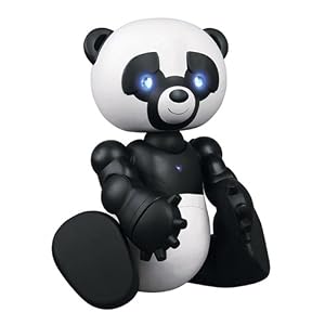 WoWWEe Robotics Robopanda