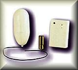 Remote Wireless Control 2 inch Power Egg Style Ivory Color Spot Massager