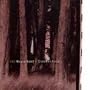 October Song