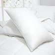 Blancho Bedding - Set of 2 Luxurious Down Alternative Standard Pillow, 35.5 OZ, Piped Edging