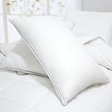 Blancho Bedding - Set of 2 Luxurious Down Alternative Standard Pillow, 35.5 ....