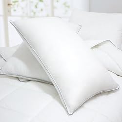 Blancho Bedding - Set of 2 Luxurious Down Alternative Standard Pillow, 35.5 OZ, Piped Edging