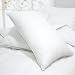 Blancho Bedding - Set of 2 Luxurious Down Alternative Standard Pillow, 35.5 OZ, Piped Edging