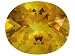 Jewelry : MIN 3.50CT 12X10MM OVAL MADEIRA CITRINE FROM BRAZIL
