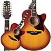 EG523CDX G Series 12 String Jumbo Acoustic Electric Guitar