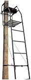 Guide Gear 16' Ladder Tree Stand