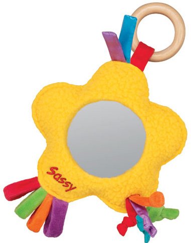 41lthshQ0iL Sassy Earth Brights Wooden See Me Star Toy