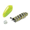 Learning Resources Giant Inflatable Butterfly