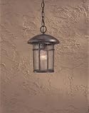 Cranston Collection 15 1/2 High Chain-Hung Outdoor Light