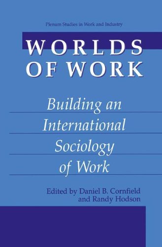 Worlds of Work: Building an International Sociology of Work (Plenum Studies in Work and Industry) On Sale