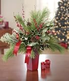 Everlasting Evergreen