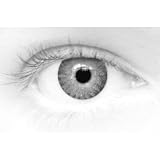 Eye Spy Daily Contact Lenses Grey