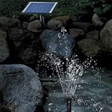 Small AC/Solar Fountain Pump