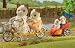 Sylvanian Families Tandem Bike and Baby Trailer