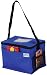Insulated Lunch Bag (Blue)