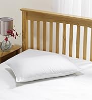 Cool Firm Support Pillow