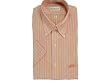 Van Heusen Wrinkle Free Oxford Striped Shirt