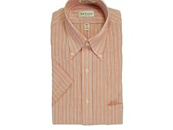 Van Heusen Wrinkle Free Oxford Striped Shirt