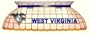 West Virginia Pool Table Lamp