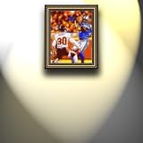 Completely Handpainted American Football Sport Painting, Custom Order FL7707, Oil on Canvas, with Option to Paint Jerry, Brett & Co. from Any Other Favorite Photograph or Picture, Unframed, Size 23'' x 29" inches