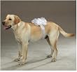 Dog Ring Bearer Pillow - Aria Ring Bearer Pillows for Pets - White