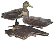 Black Duck 6 Pak Kit Duck Decoys Duck