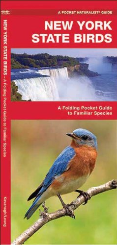 New York State Birds: A Folding Pocket Guide to Familiar Species (Pocket Naturalist Guide Series)