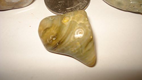 (#7) (** Brand New Item 2015 **) Wholesale 5pc A-grade Medium & large Ocean Jasper From Madagascar Healing Crystal Gemstone Tumbled & Polished Formation Stones Specime