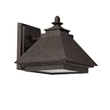 Capital Lighting 9091RI 1-Light Outdoor Wall Lantern-Dark Sky Rustic Iron with Rust Scavo Glass and Acid-Washed Glass Lens