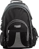 Air Pack Ergonomic Backpack