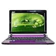 Acer Aspire One AOD250-1371 10" Netbook 1.6Gz Purple