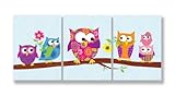 The Kids Room Set of 3 Rectangle Wall Decor, Owls on Branch by The Kids Room by Stupell [並行輸入品]