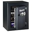 Fire Safe Commercial Office or Home Safe By Sentry Safe