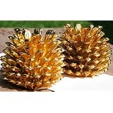 *2, NEW, PINECONE CANDLE HOLDERS, GOLD, 2, PINE CONE CANDLE HOLDER, for, TAPERED, CANDLES, RESIN, PINE CONES, is APPROXIMATELY 9