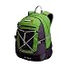 Cisco 30 backpack (green)