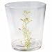 Corelle Coordinates Kobe 14-Ounce Acrylic Glass, Set of 6