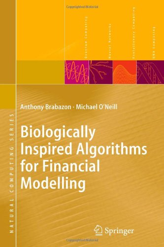 biologically inspired algorithms for financial modelling natural computing series