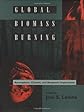 Global Biomass Burning: Atmospheric, Climatic, and Biospheric Implications