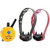 E-Collar 2 Dog Mini Educator 1/2 Mile Remote Dog Trainer + FREE INCLUDED Bungee E-Collars FREE SHIPPING
