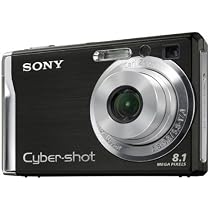 Sony Cybershot DSCW90 8.1MP Digital Camera with 3x Optical Zoom and Super Steady Shot (Black)