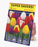 TotalGreen 72415300 Tulip Bulbs