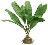 TETRA SILK Water Wonders PLANT 9 inch CONGENSIS