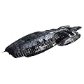 Battlestar Galactica Model Kit