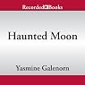 Haunted Moon: Otherworld Series, Book 13